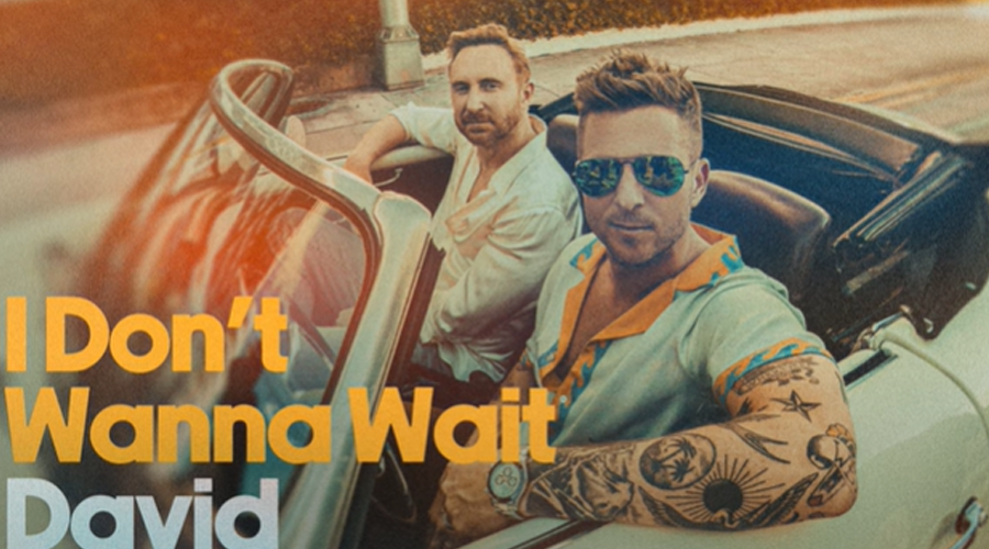 David Guetta - I Don't Wanna Wait