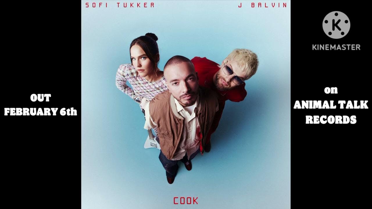 SOFI TUKKER - COOK