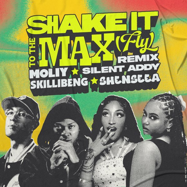 Moliy, Silent Addy, Skillibeng & Shenseea - Shake It To The Max (Fly) [Remix]