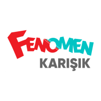 Fenomen Karışık 256 logo