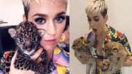https://cdn.radyofenomen.com/u/img/a/k/a/katyperry-1526890552.jpg